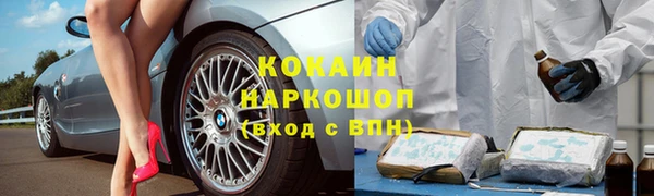 дмт Кинешма
