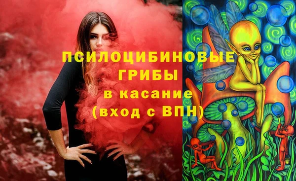 дмт Кинешма