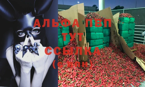 дмт Кинешма
