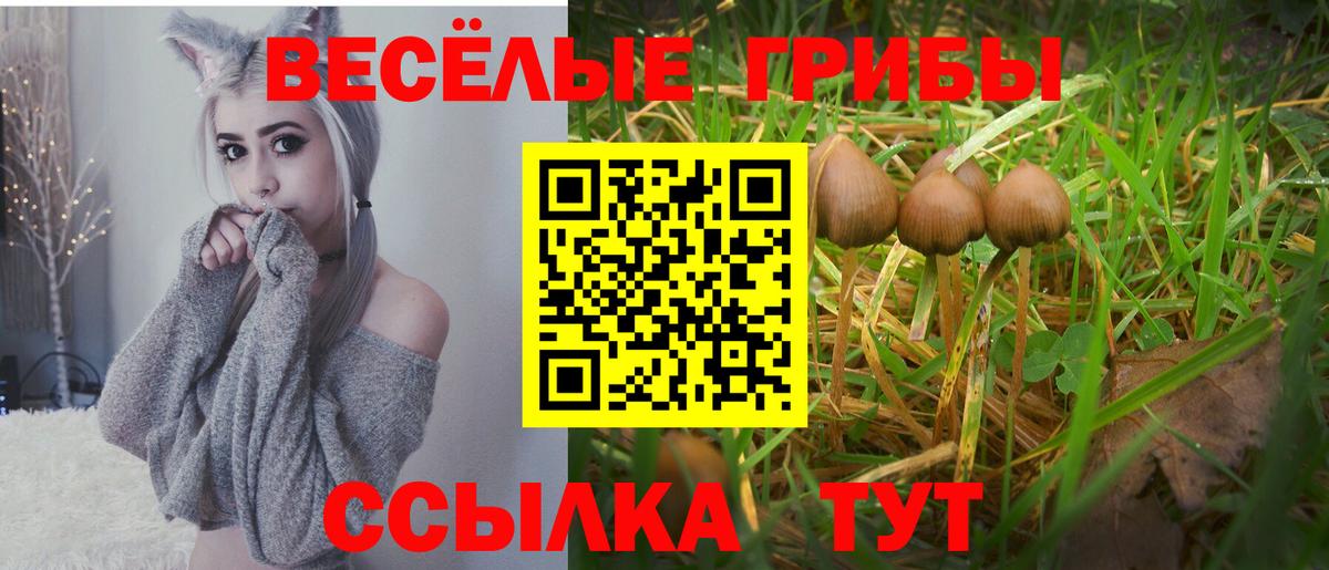 Раменское  Псилоцибиновые грибы мухоморы  Вход с VPN  Галлюциногенные грибы Psilocybine cubensis 
